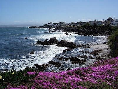 Monterey Peninsula Inn Pacific Grove Exterior photo